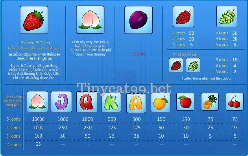 Slot Fruit trên Tinycat99, slot fruit tinycat99