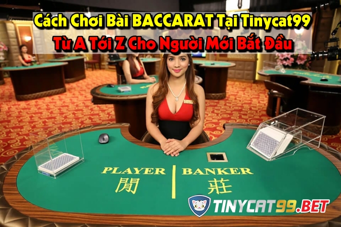 Chơi bài Baccarat Tinycat99, choi bai baccarat tinycat99, cách chơi baccarat tinycat99, cach choi baccarat tinycat99, baccarat tinycat99