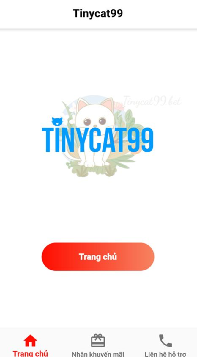 Cách vào trang quản trị Tinycat99