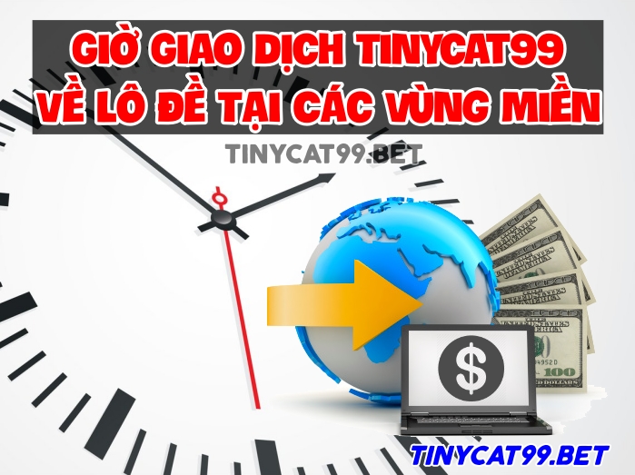 Giờ giao dịch Tinycat99