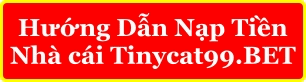 hướng dẫn nạp tiền tinycat99